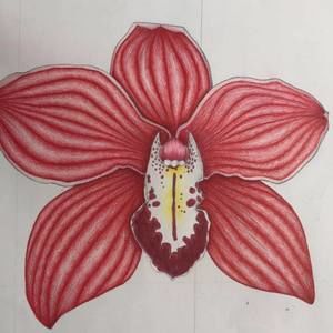 Meet your Posher, Lily